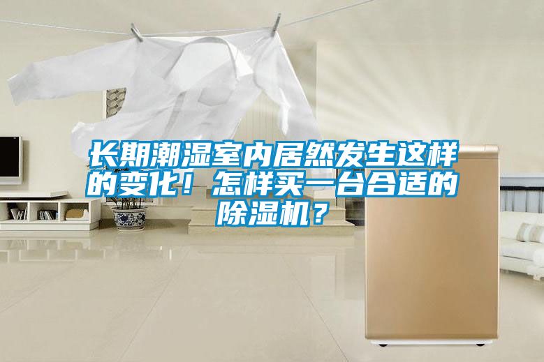長期潮濕室內居然發生這樣的變化！怎樣買一臺合適的除濕機？