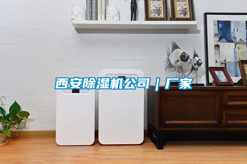 西安除濕機(jī)公司｜廠家