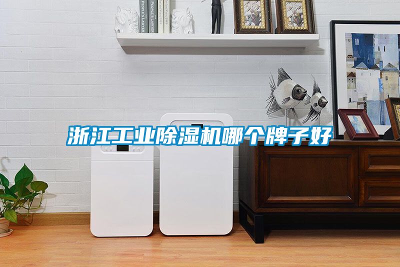 浙江工業除濕機哪個牌子好