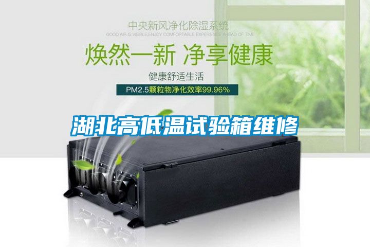 湖北高低溫試驗箱維修