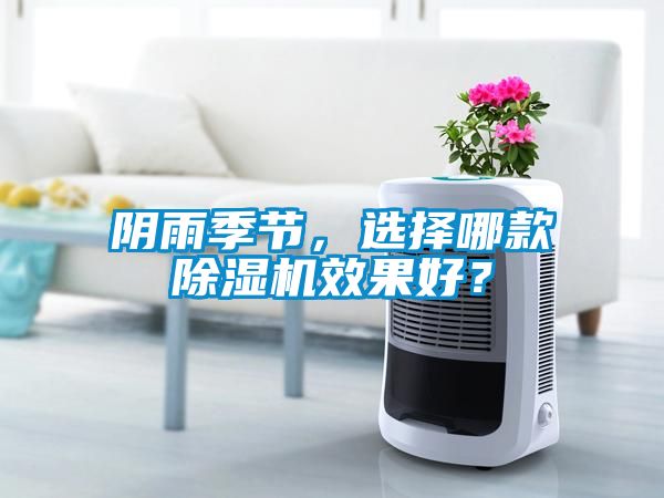 陰雨季節，選擇哪款除濕機效果好？