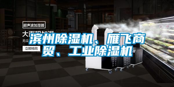濱州除濕機、雁飛商貿、工業除濕機