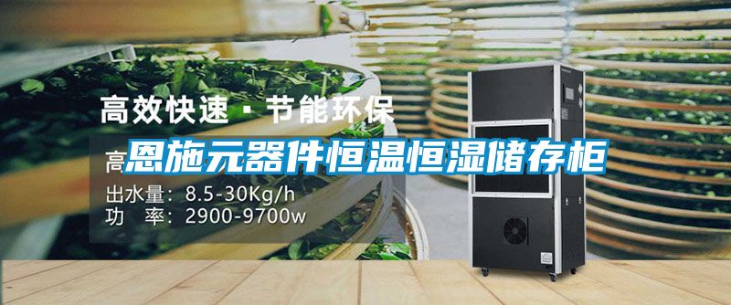 恩施元器件恒溫恒濕儲(chǔ)存柜