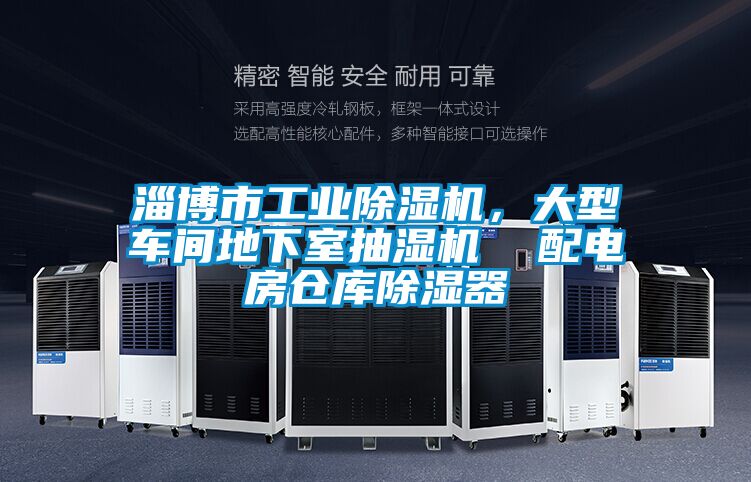 淄博市工業除濕機，大型車間地下室抽濕機  配電房倉庫除濕器