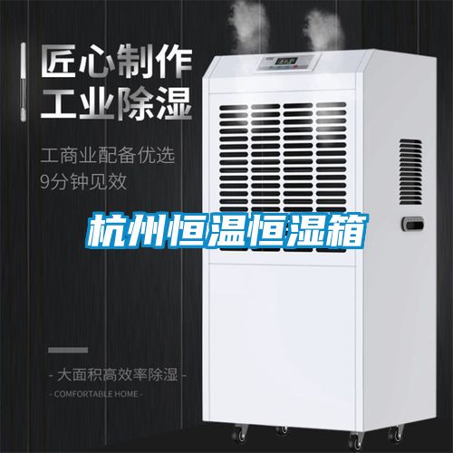 杭州恒溫恒濕箱