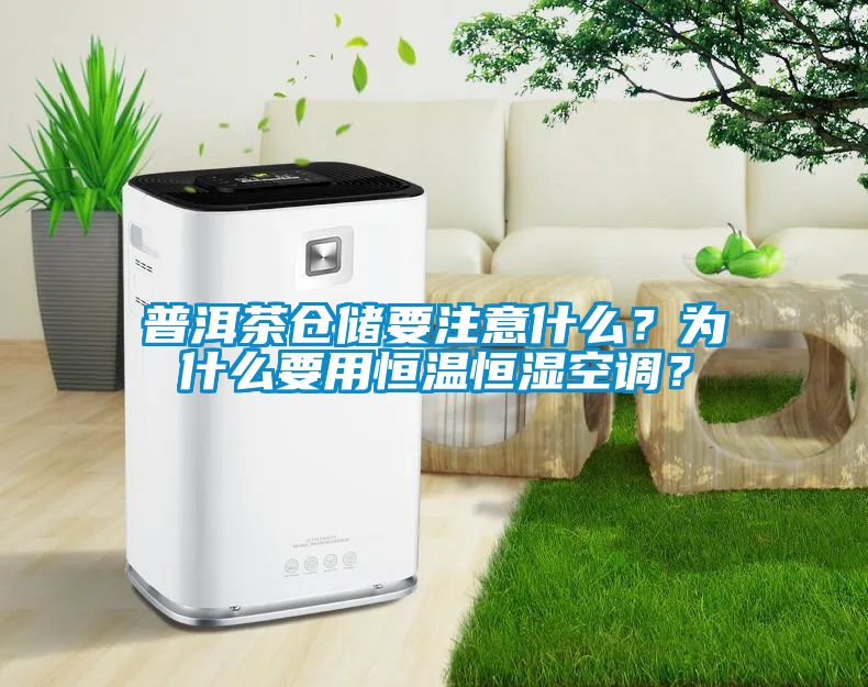 普洱茶倉儲要注意什么？為什么要用恒溫恒濕空調？