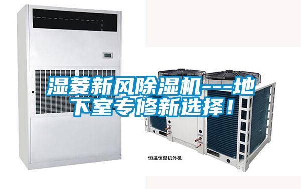 濕菱新風除濕機---地下室專修新選擇！