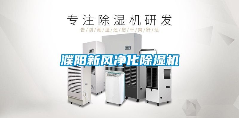濮陽(yáng)新風(fēng)凈化除濕機(jī)
