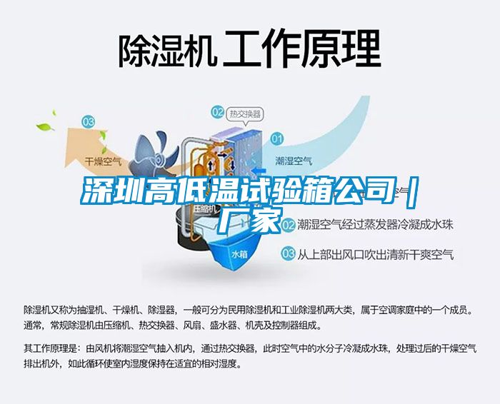 深圳高低溫試驗箱公司｜廠家