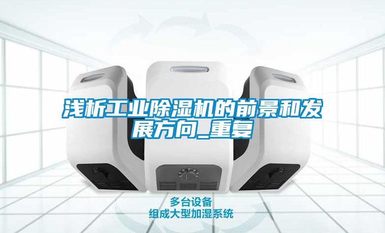 淺析工業除濕機的前景和發展方向_重復
