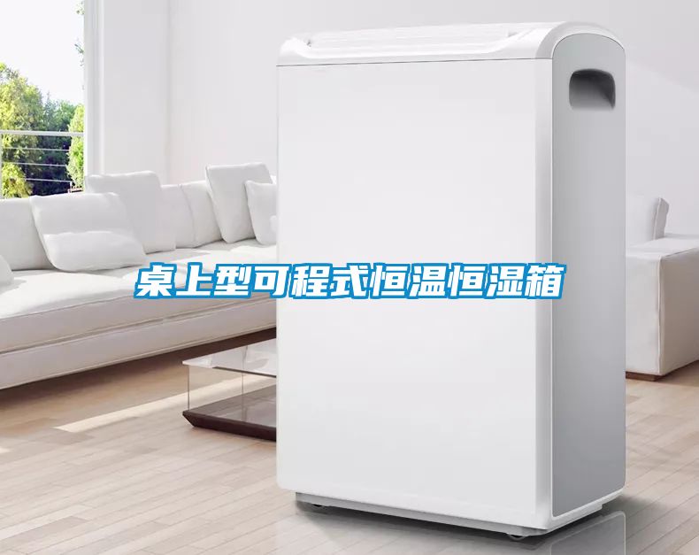 桌上型可程式恒溫恒濕箱