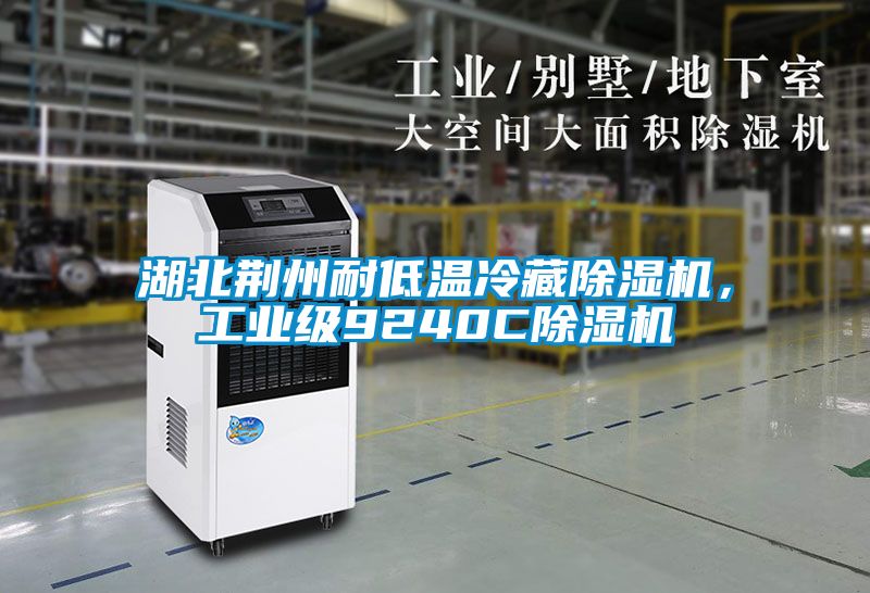 湖北荊州耐低溫冷藏除濕機，工業級9240C除濕機