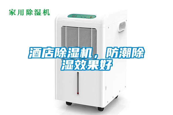 酒店除濕機，防潮除濕效果好