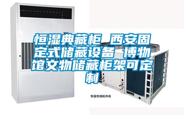 恒濕典藏柜 西安固定式儲藏設備 博物館文物儲藏柜架可定制