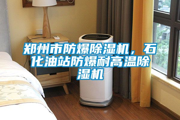 鄭州市防爆除濕機，石化油站防爆耐高溫除濕機
