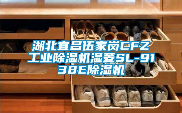 湖北宜昌伍家崗CFZ工業除濕機濕菱SL-9138E除濕機
