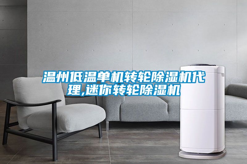 溫州低溫單機轉輪除濕機代理,迷你轉輪除濕機