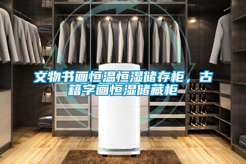 文物書畫恒溫恒濕儲存柜，古籍字畫恒濕儲藏柜