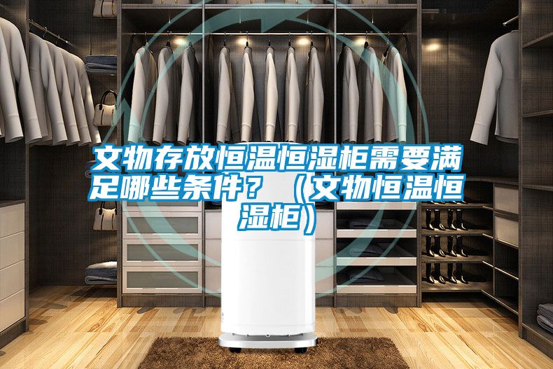 文物存放恒溫恒濕柜需要滿足哪些條件？（文物恒溫恒濕柜）