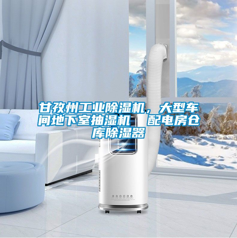 甘孜州工業(yè)除濕機(jī)，大型車間地下室抽濕機(jī)  配電房倉(cāng)庫(kù)除濕器