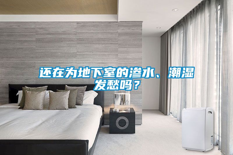 還在為地下室的滲水、潮濕發愁嗎？
