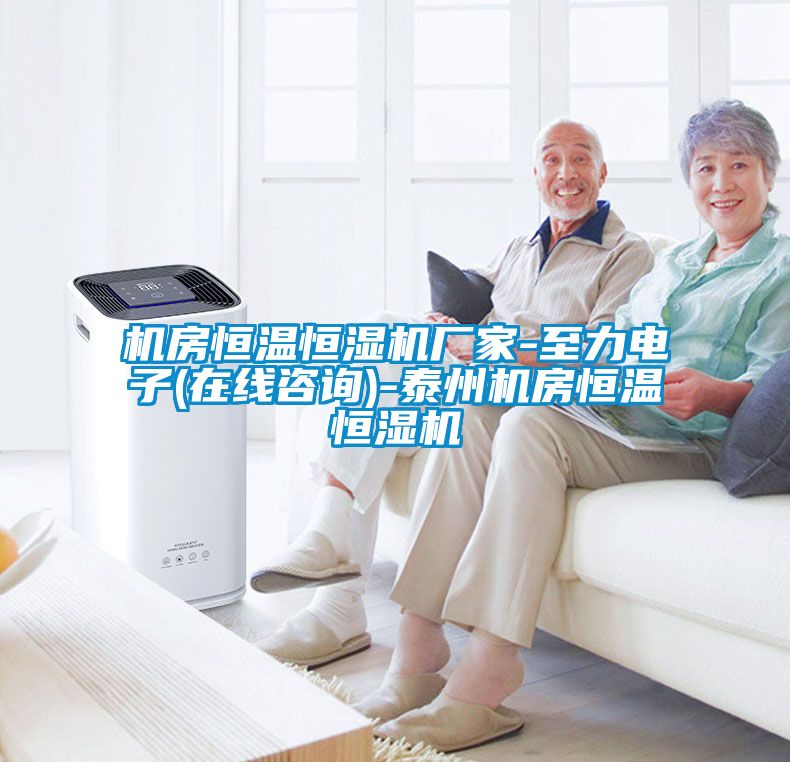 機房恒溫恒濕機廠家-至力電子(在線咨詢)-泰州機房恒溫恒濕機