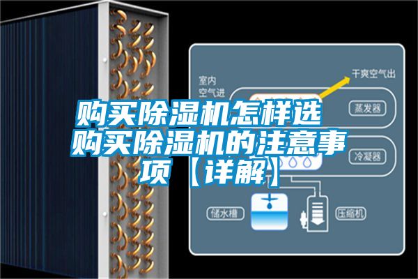 購買除濕機怎樣選 購買除濕機的注意事項【詳解】