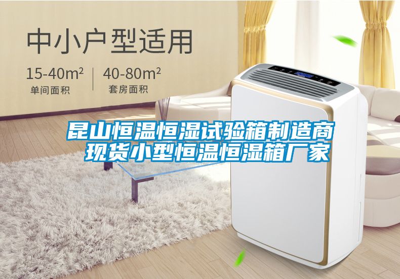 昆山恒溫恒濕試驗箱制造商 現(xiàn)貨小型恒溫恒濕箱廠家