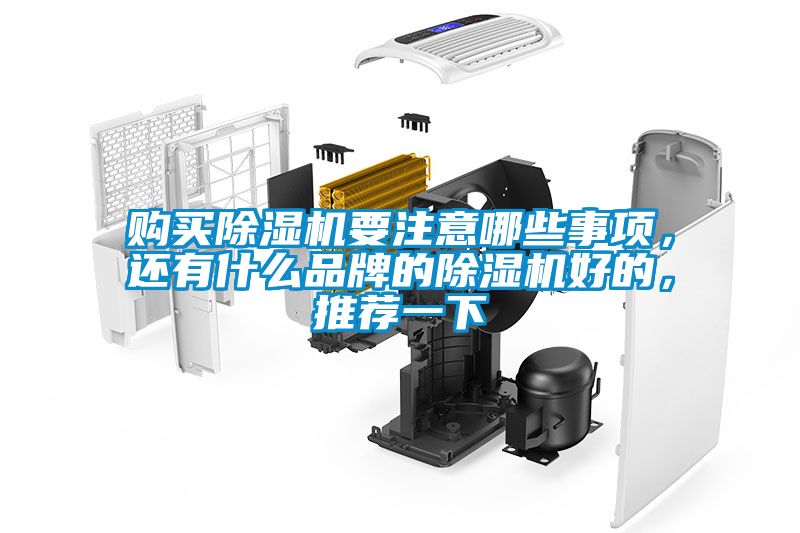 購買除濕機要注意哪些事項，還有什么品牌的除濕機好的，推薦一下