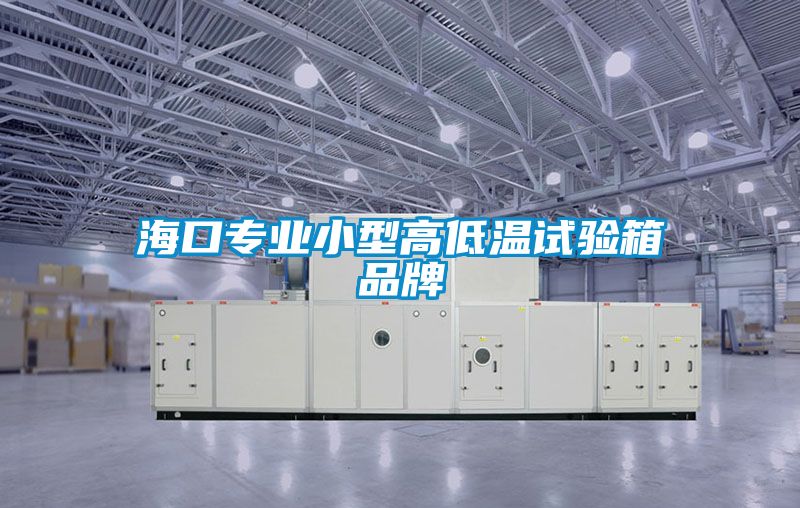 海口專業(yè)小型高低溫試驗箱品牌