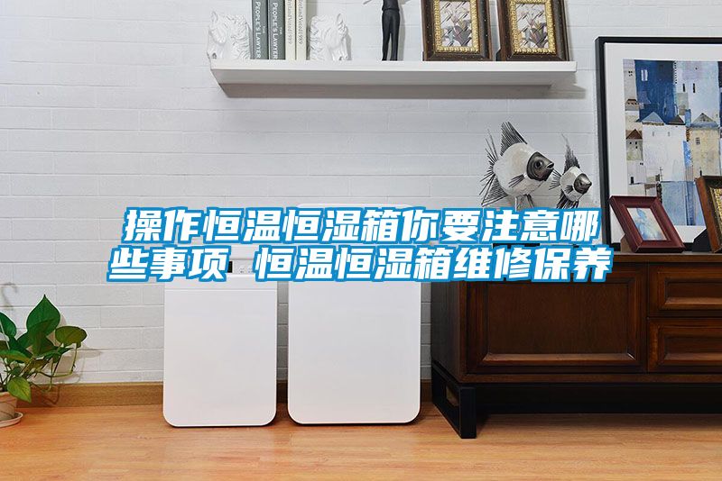 操作恒溫恒濕箱你要注意哪些事項 恒溫恒濕箱維修保養