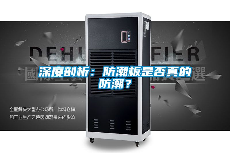 深度剖析：防潮板是否真的防潮？