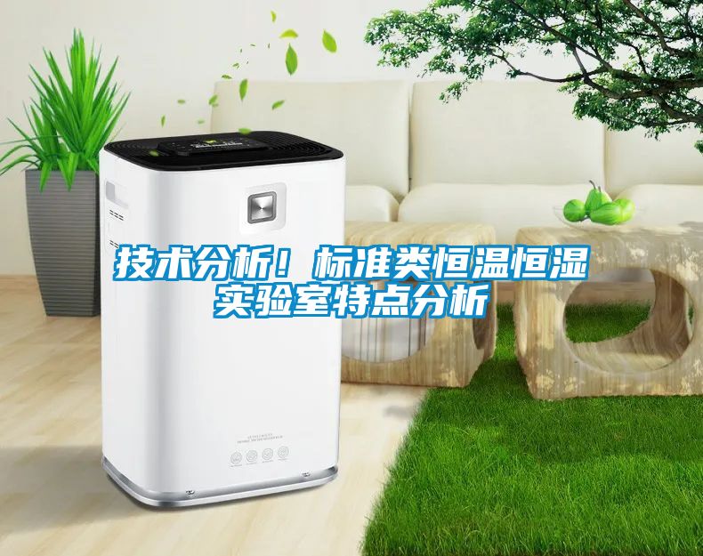 技術(shù)分析！標(biāo)準(zhǔn)類恒溫恒濕實(shí)驗(yàn)室特點(diǎn)分析