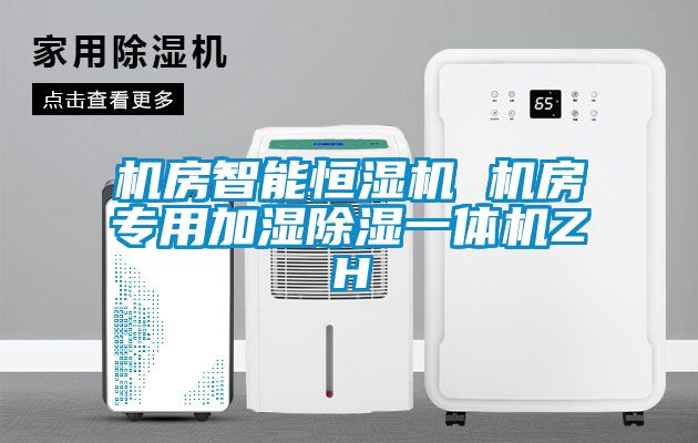 機房智能恒濕機 機房專用加濕除濕一體機ZH