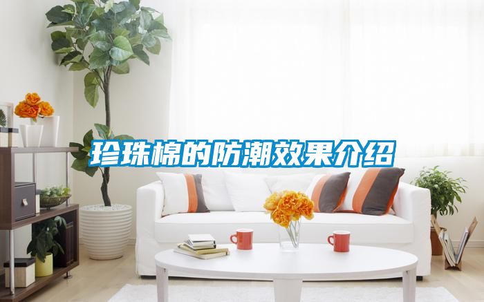 珍珠棉的防潮效果介紹