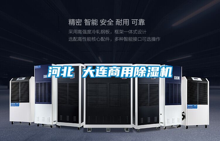 河北 大連商用除濕機