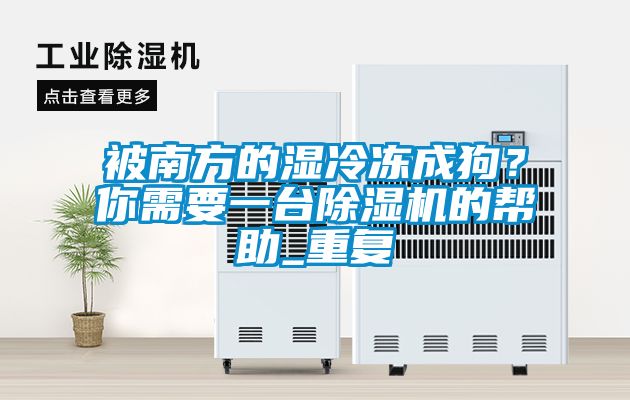 被南方的濕冷凍成狗？你需要一臺除濕機的幫助_重復