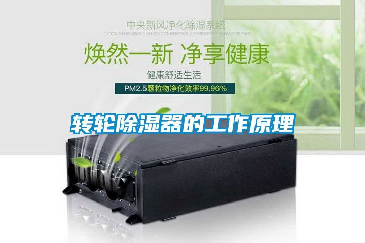 轉輪除濕器的工作原理