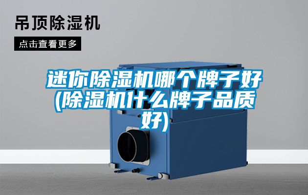 迷你除濕機哪個牌子好(除濕機什么牌子品質好)