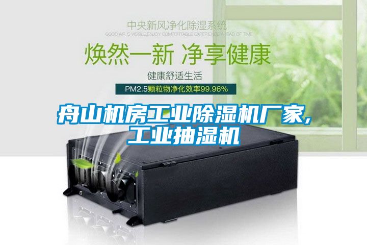 舟山機房工業(yè)除濕機廠家,工業(yè)抽濕機