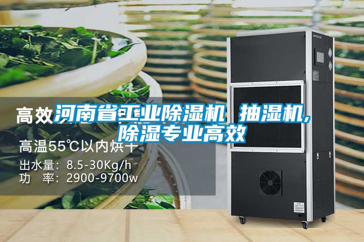 河南省工業(yè)除濕機 抽濕機,除濕專業(yè)高效