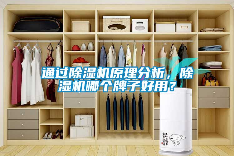 通過除濕機原理分析，除濕機哪個牌子好用？