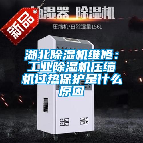 湖北除濕機維修：工業除濕機壓縮機過熱保護是什么原因