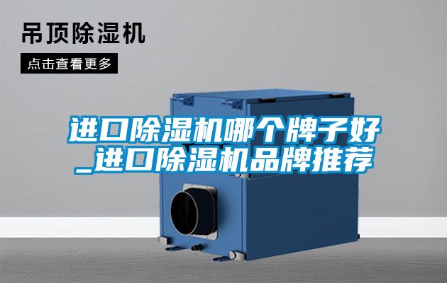 進口除濕機哪個牌子好_進口除濕機品牌推薦