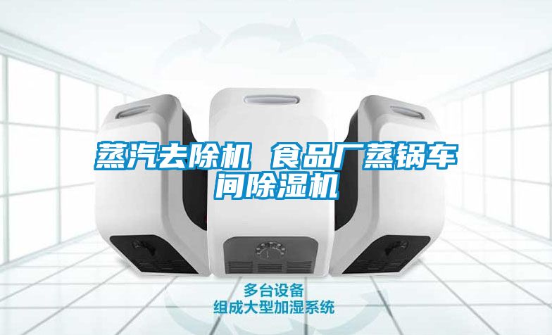 蒸汽去除機 食品廠蒸鍋車間除濕機