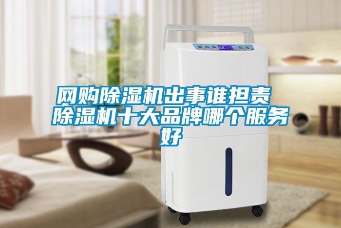 網購除濕機出事誰擔責 除濕機十大品牌哪個服務好