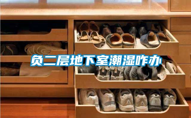 負二層地下室潮濕咋辦