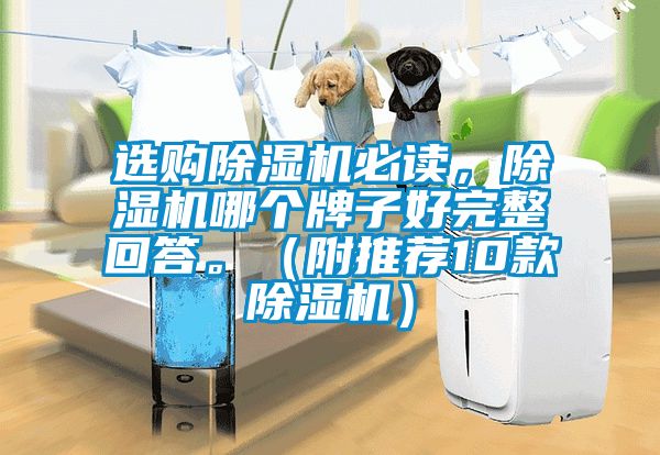 選購除濕機必讀，除濕機哪個牌子好完整回答。（附推薦10款除濕機）
