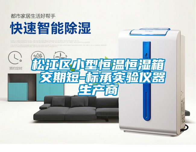 松江區小型恒溫恒濕箱 交期短-標承實驗儀器生產商