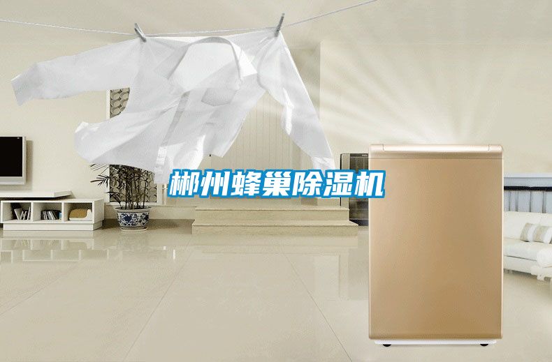 郴州蜂巢除濕機